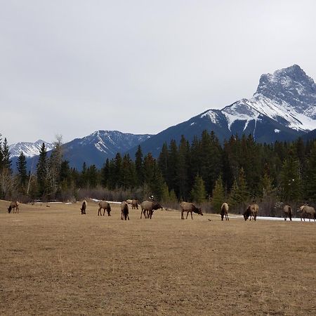 Enchanted Mountain Getaway Canmore Eksteriør billede